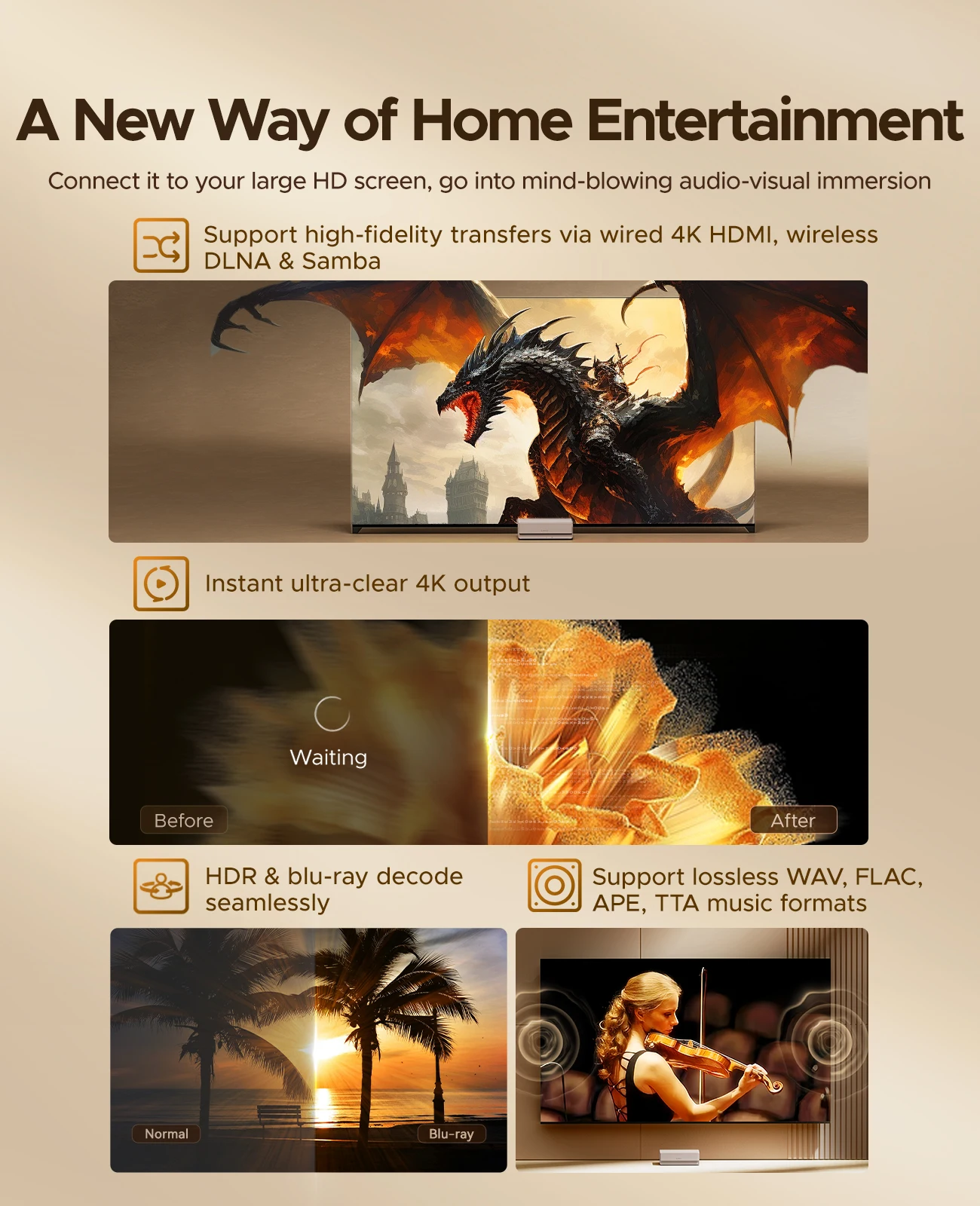 ORICO Home Media Data Center 3.5" Dual-bay Type-C NAS Real-time Transcoding Global Remote Access for Samba DLNA,iOS MacOS System