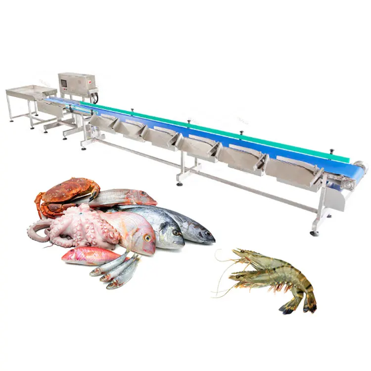 Apple Mango Fruit Guava Kiwi Washing Small Size Live Trout Fish Checking Weight Grader Oyster Weight Sorting Machine