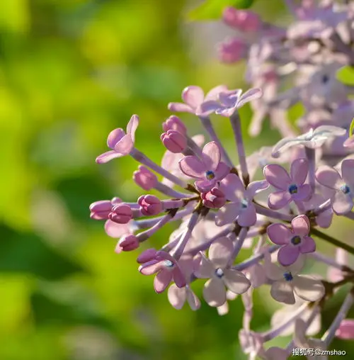 Holybro H-RTK NEO-F…