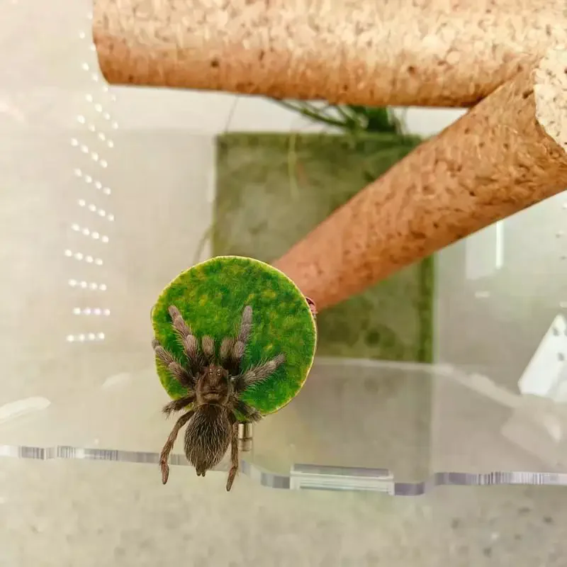 Magnetic Spider Hide Handmade Mini Cave for Jumping Spiders Decorative and Secure Pet Spider Habitat