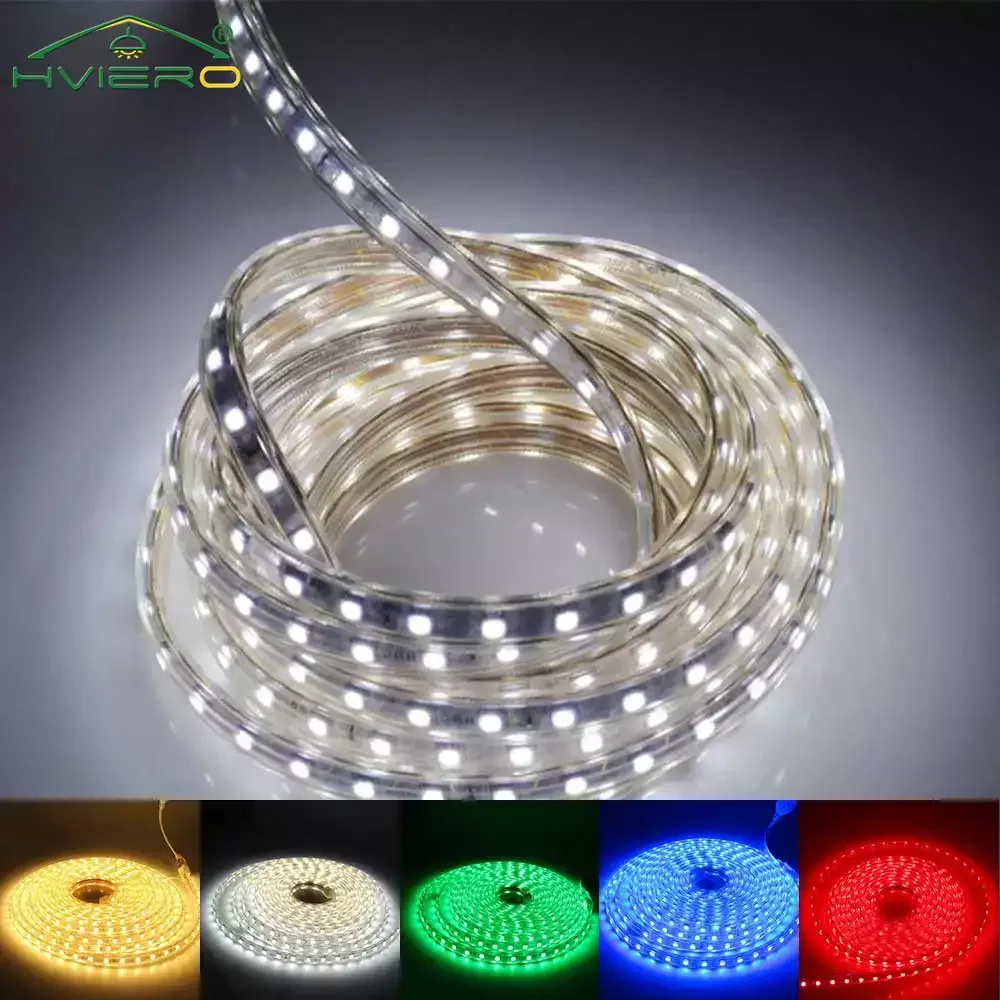 5050 Strip Holiday Light 1M 220V SMD Waterproof Led Tape Flexible High Pressure Desk Lamp Outdoor Garden Ceiling Lighting Plug