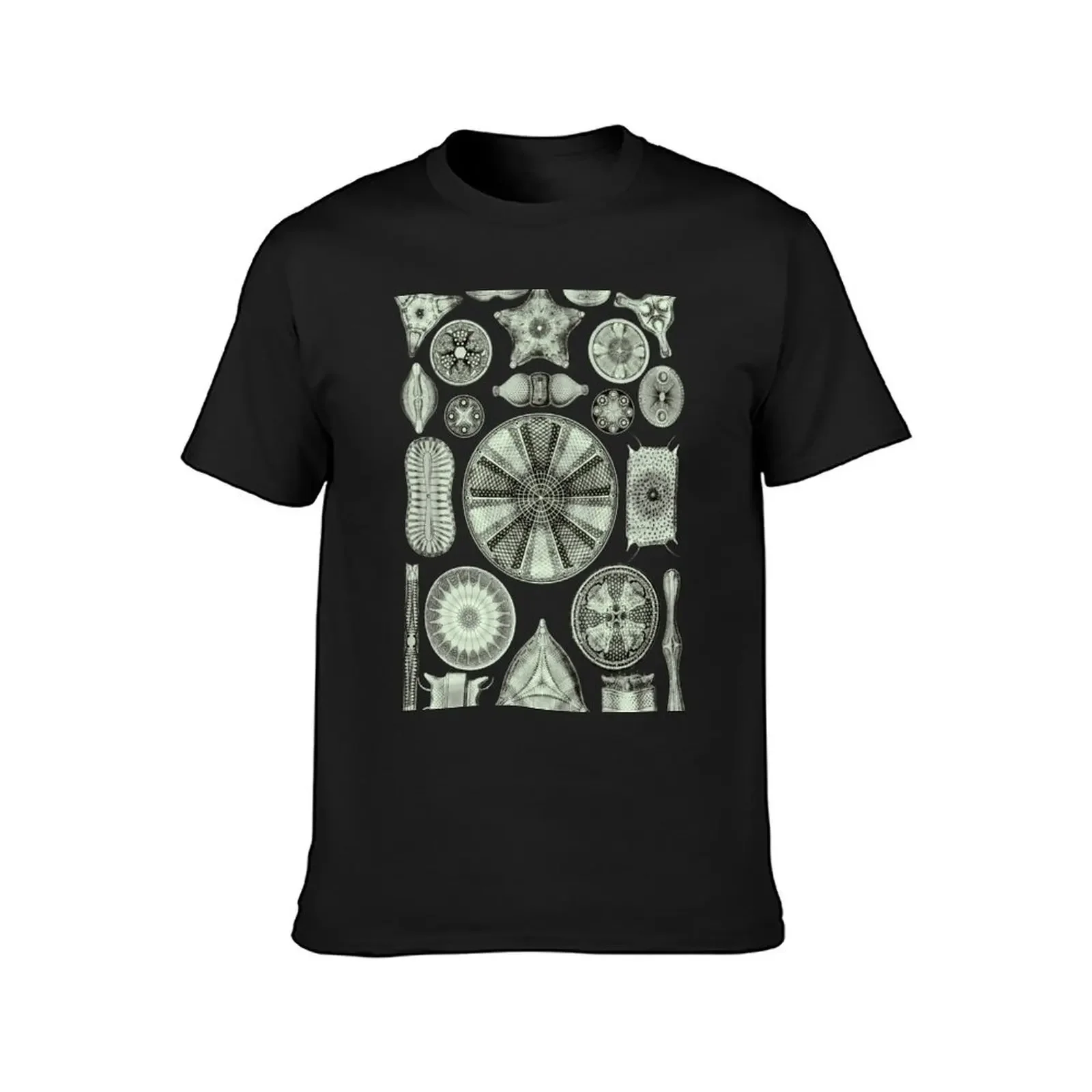 Ernst Haeckel Diatoms Olive Green T-Shirt blacks tops cheap stuff blue archive men t shirts