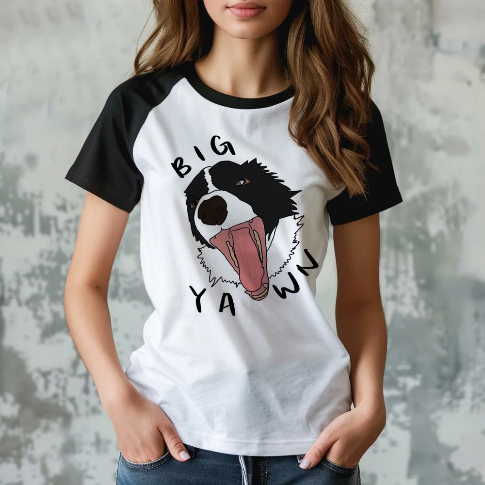 Border Collie t-shirts women harajuku tshirt girl y2k manga clothes