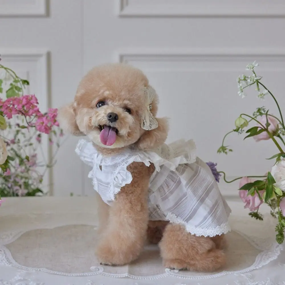 

Pet Supplies Lace Pet Princess Dress Soft Breathable Cat Flying Sleeve Skirt Thin Design Pet Summer Clothes for Puppy Kittens