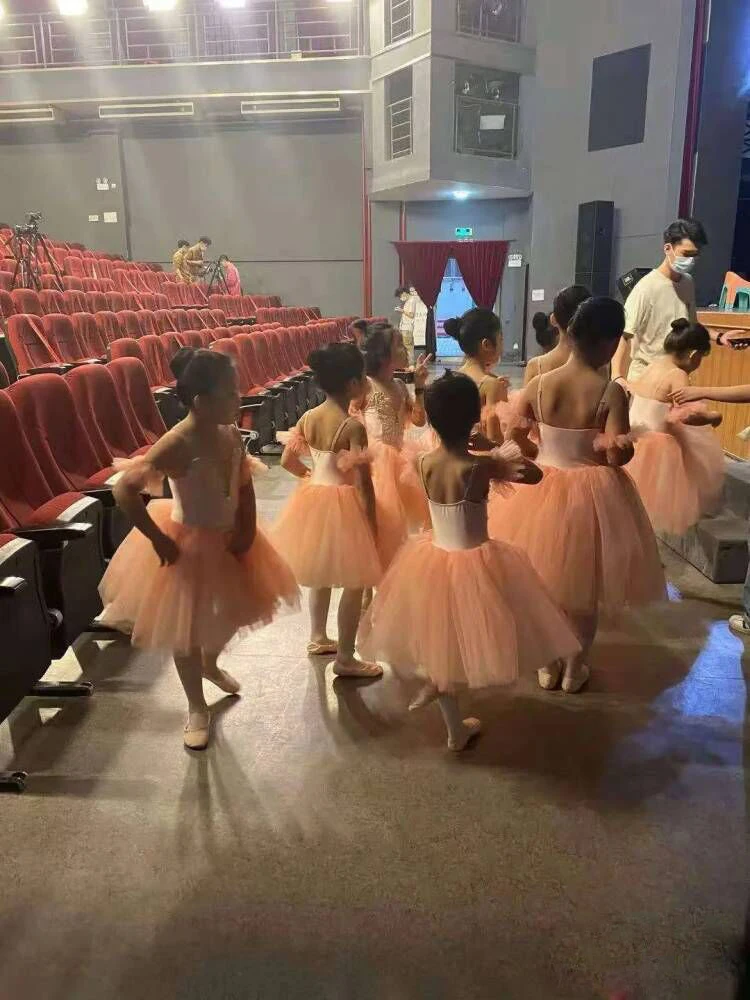 Falda larga de Ballet para niñas, traje profesional de tutú de princesa, vestido de fiesta de bailarina, falda de tutú con tirantes