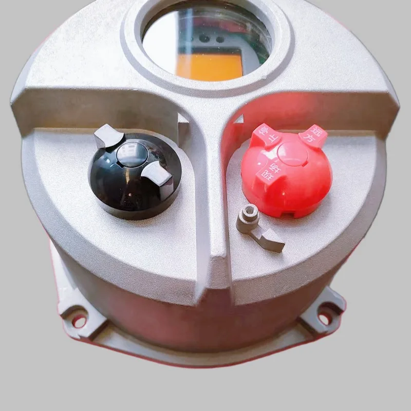 Dzw Electric Actuat…