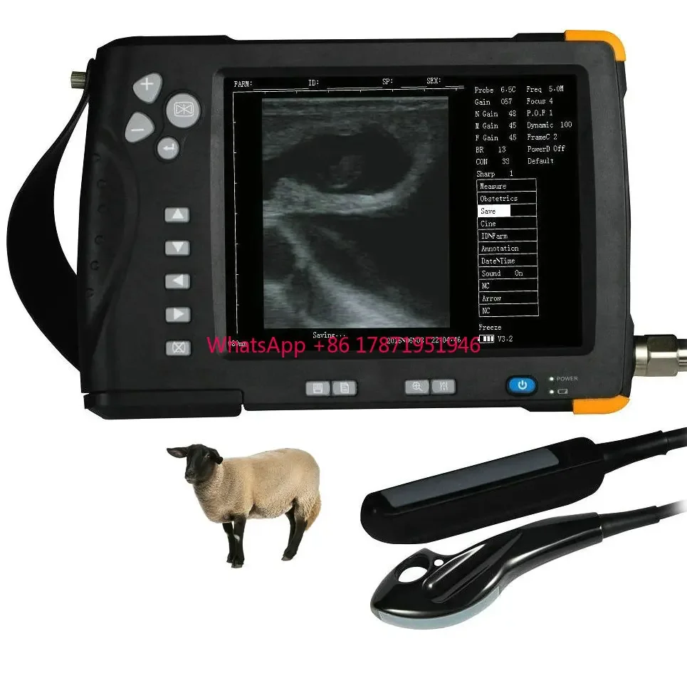 

7 Inch water proof veterinary ultrasound horse cattle equine goat ultrasound equipment testing device for sheep