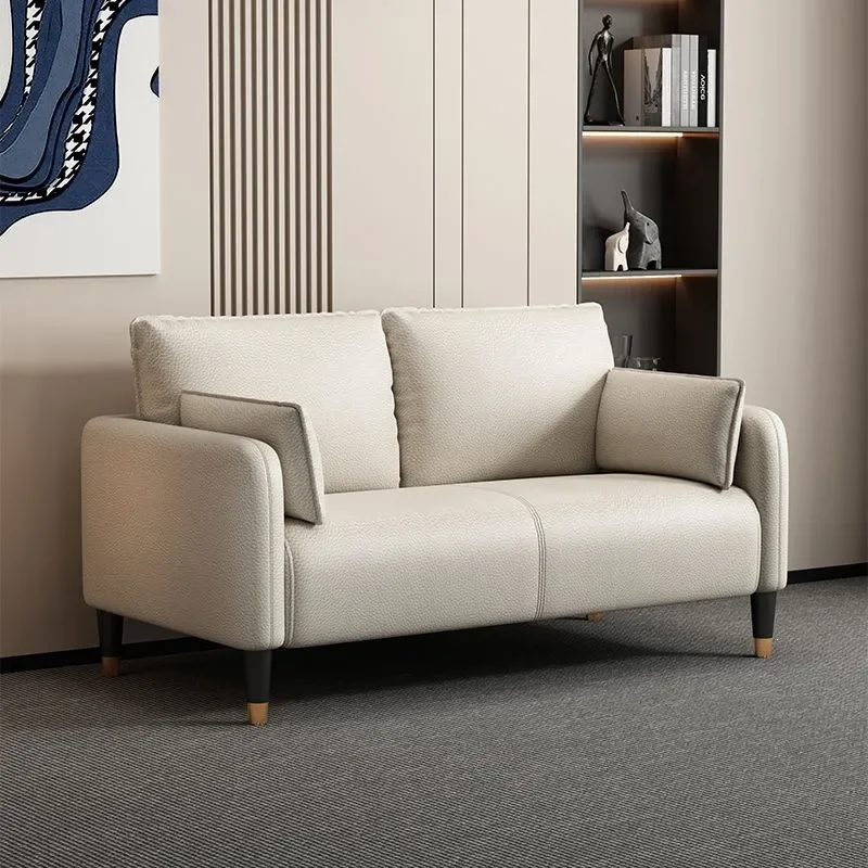 for Technology Cloth Sofa Living Room Small Apartment Simple Modern Light Luxury Bedroom Rental Room Double Triple Clothing