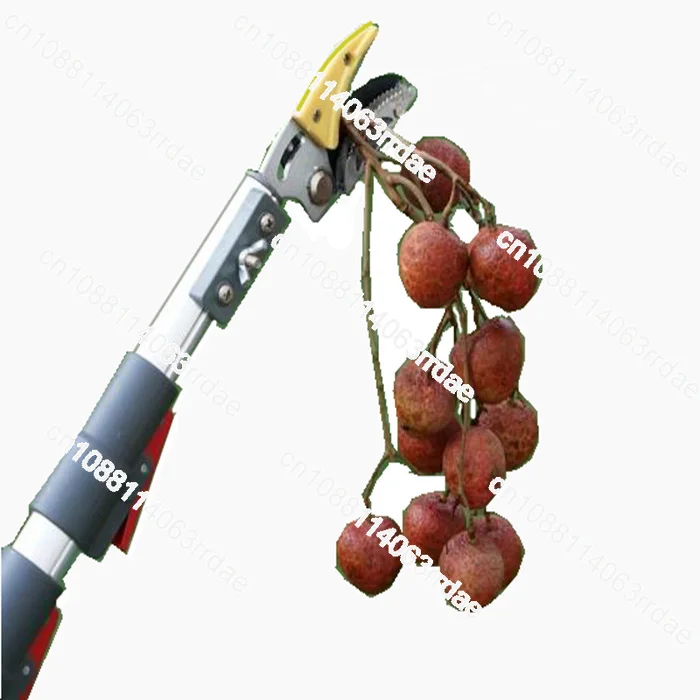 

Fruit picker, high branch scissors, saw telescopic 3 meters, 4 meters, 5 meters, high altitude cutting, fruit picking, pruning