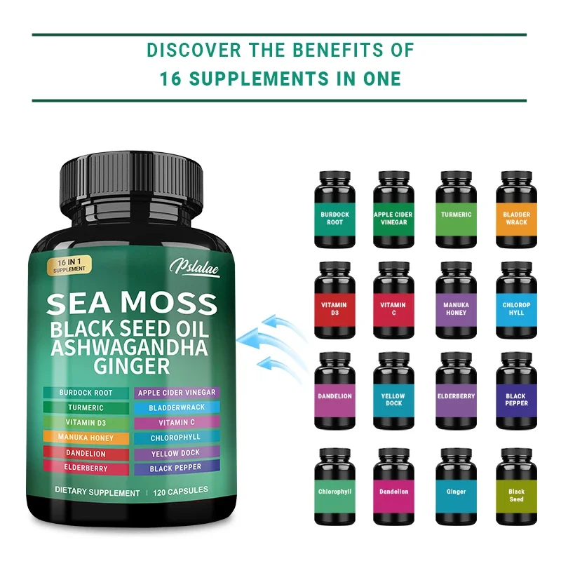 Sea Moss | Black Seed Oil | Ashwagandha | Ginger - Digestive Support, Promotes Bone and Joint Health, Non-GMO