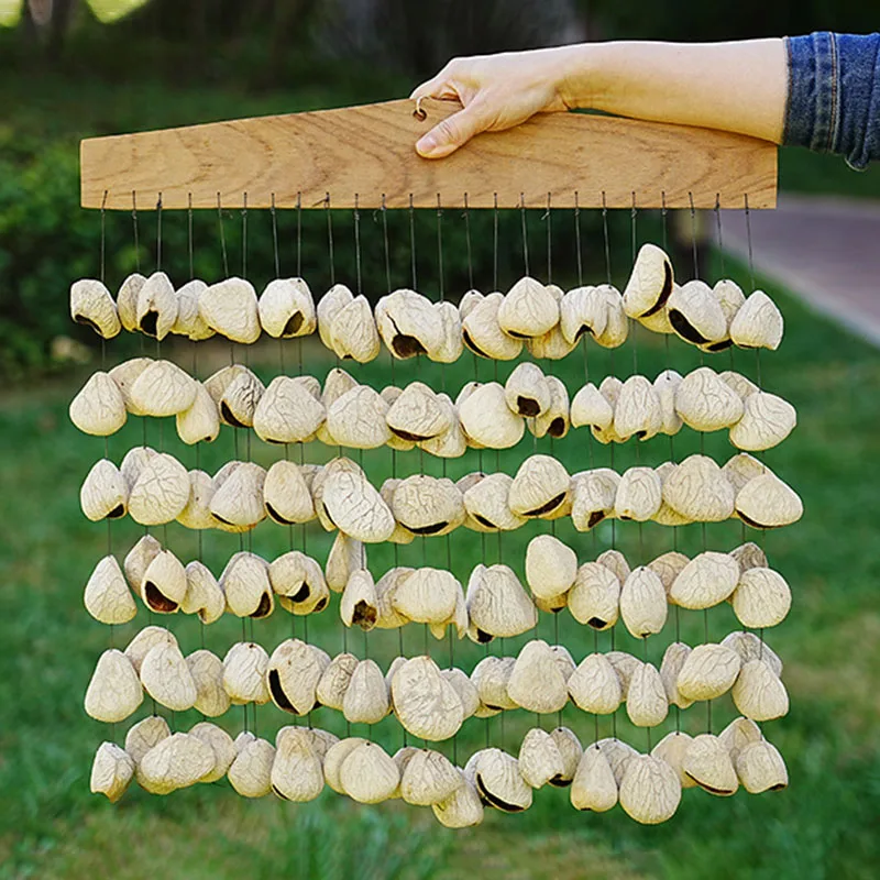 Fruit Shell Arrangement Bell Meditation Sound Healing Bells Home Decoration Wind Chime Natural Fruit Shell Mixed Wind Chimes