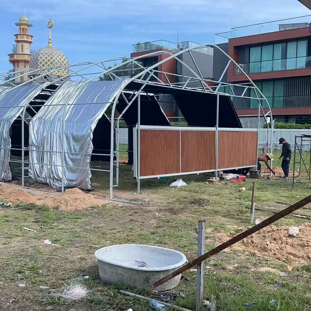 

Customized greenhouseSimple Tunnel Plastic Film Greenhouse for Vegetables Growing