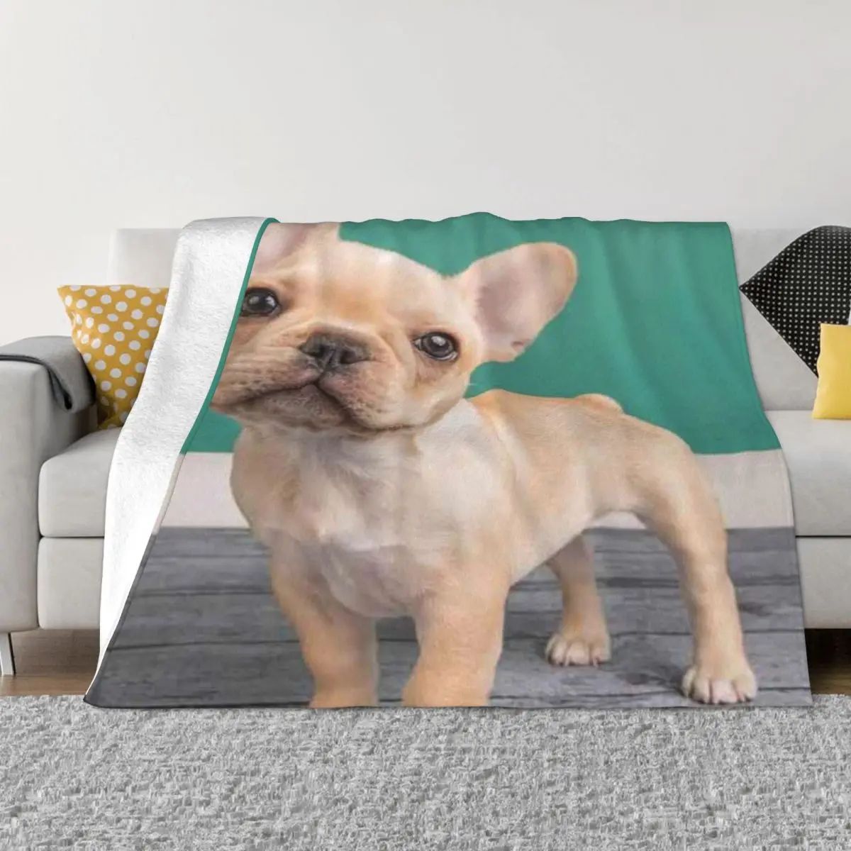 

French Bulldog Dog 1153 Blanket Quilt For Bed Thin Wadding Blanket Throw Blanket