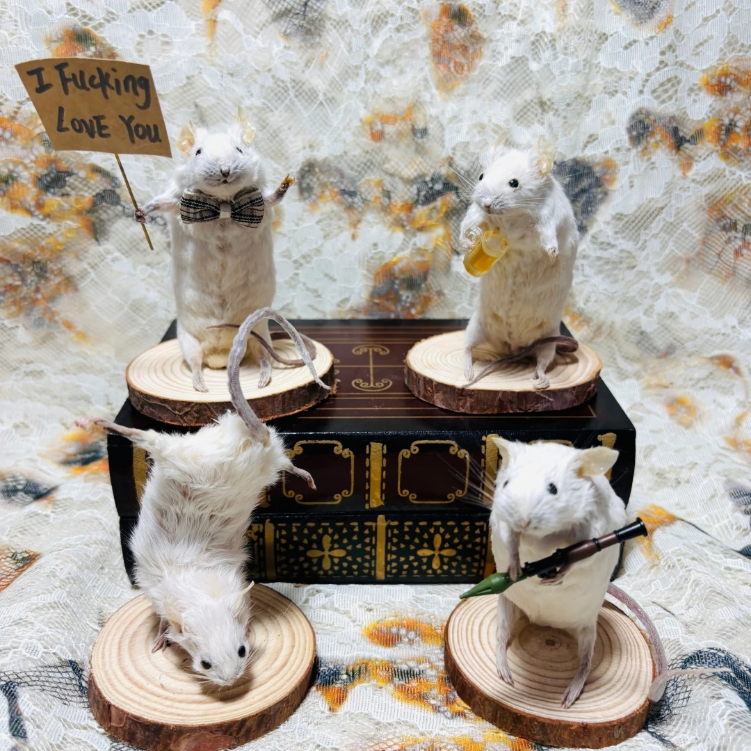 2185 Handmade Mischievous Mouse Desktop Ornament Gothic Oddity Cabinet Decor Macabre Punk Curiosity Art Figurine Unusual Gift