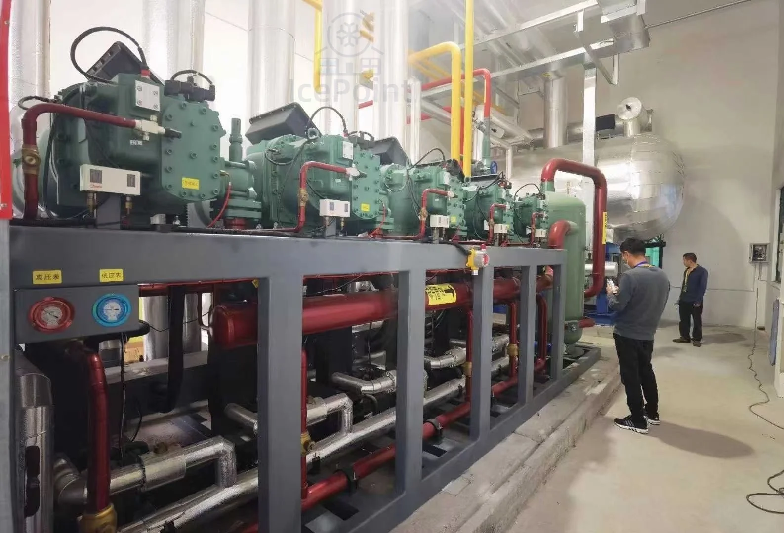 250Ton Rack Condensing Unit for Large Cold Freezer Room Refrigeration Systems