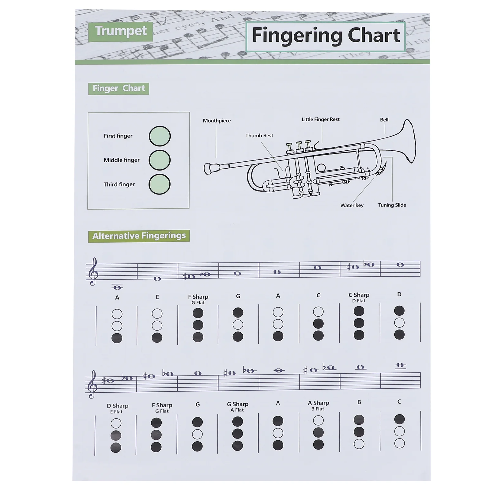 ทรัมเป็ตแผนภูมิคอร์ดเด็กโปสเตอร์ Pocket Acoustic Scales ทฤษฎีดนตรีกระดาษเคลือบคู่มือการเรียนรู้