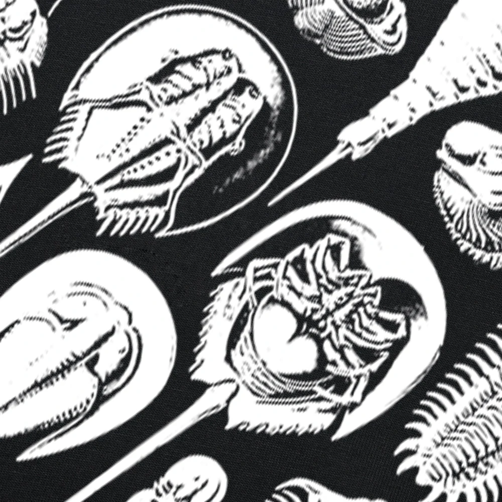 Neuartiges, tolles T-Shirt mit Rundhalsausschnitt aus Baumwolle, Schwarz, Trilobites von Haeckel, Fossilien, Geologie, neues kurzärmliges Geologen-T-Shirt für Herren – Detail 5