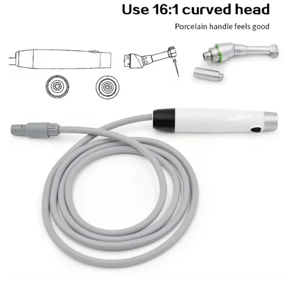 Dentl Endodontic Rotary Motor Endo Motor with Apex Locator Denal Price Endo Motor Denta Equipment