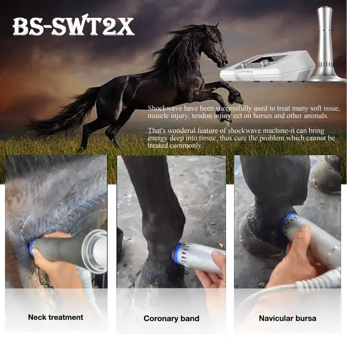 Veterinary equipment Shockwave Physiotherapy for horse and small pets therapy BS-SWT2X