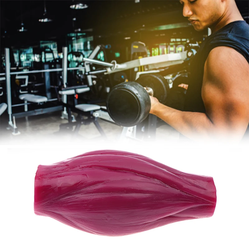 1 Lb Muscle Model Realistic Human Body Replica Teaching Display Educational Medical Tool Safe Human Muscle Structure Model