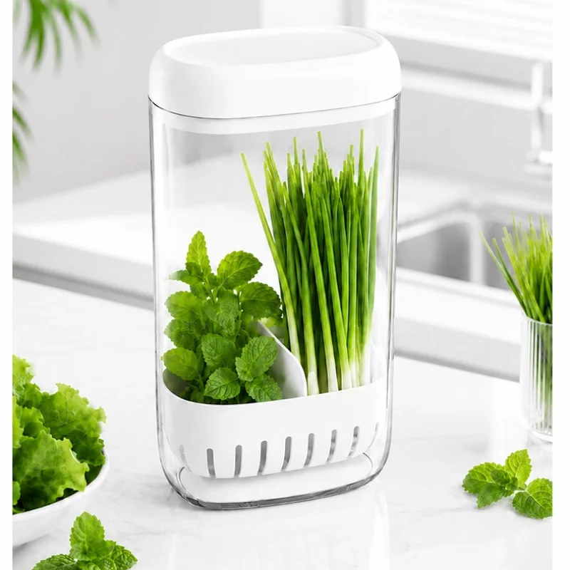 Herb Fresh Keeping Box Kitchen Water Culture Fridge Storage Box for Cilantro Scallion Garlic Mint Garlic Sprout KitchenOrganizer