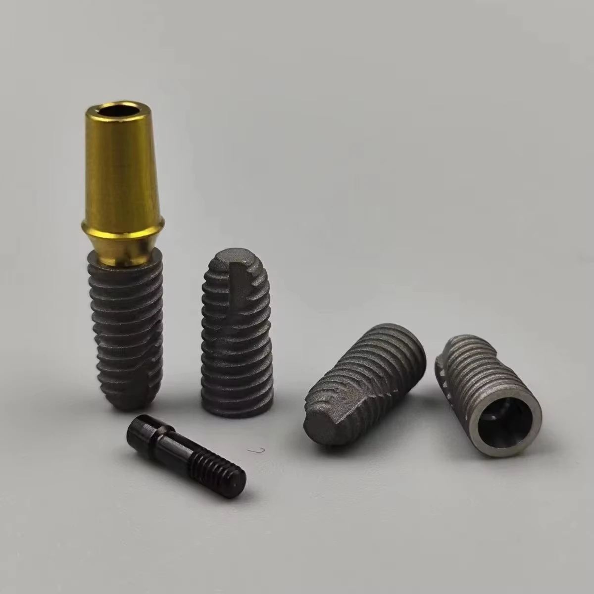 Dental model implant fixture practice model Implant training for Osstem 4510