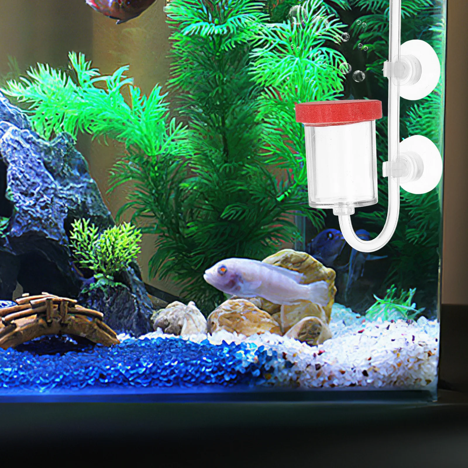 

Aquarium Air Bubbler Transparent Base Efficient Oxygen Diffuser Fish Tank Oxygen Accessory Aquarium Air Bubbler