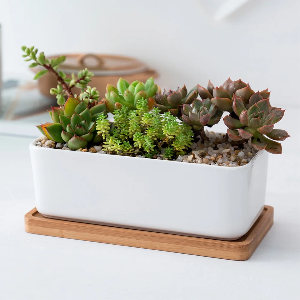 Artificial Plants Rectangular Planter Ceramic Bamboo Tray Succulent Garden Bonsai Pot Planters with Flower