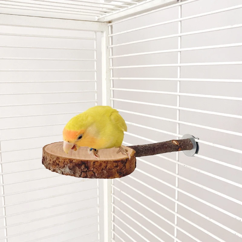 Origin Wood Apple Branch Small Parrot Standing Board Safety Bite Resistant Bird Cage Accessories Fruity Stick Small Pet Supplies view 3