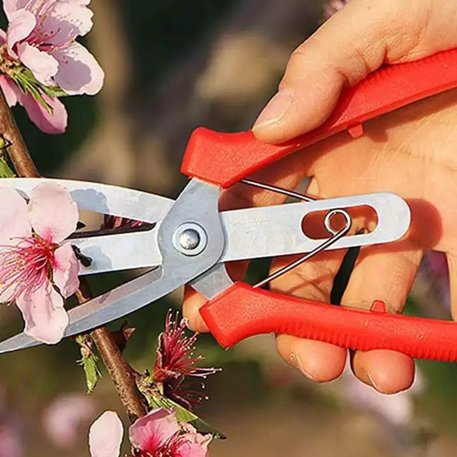 Fruit Picking Scissors Double-edged Garden Pruner Shears Citrus Tree Flower Cultivating Solid Pruning Fruit Tree Pruning Scissor