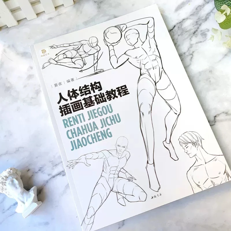 A Basic Tutorial on Human Body Structure Illustration Art Book Dynamic structure Techniques For Human Body Sketching