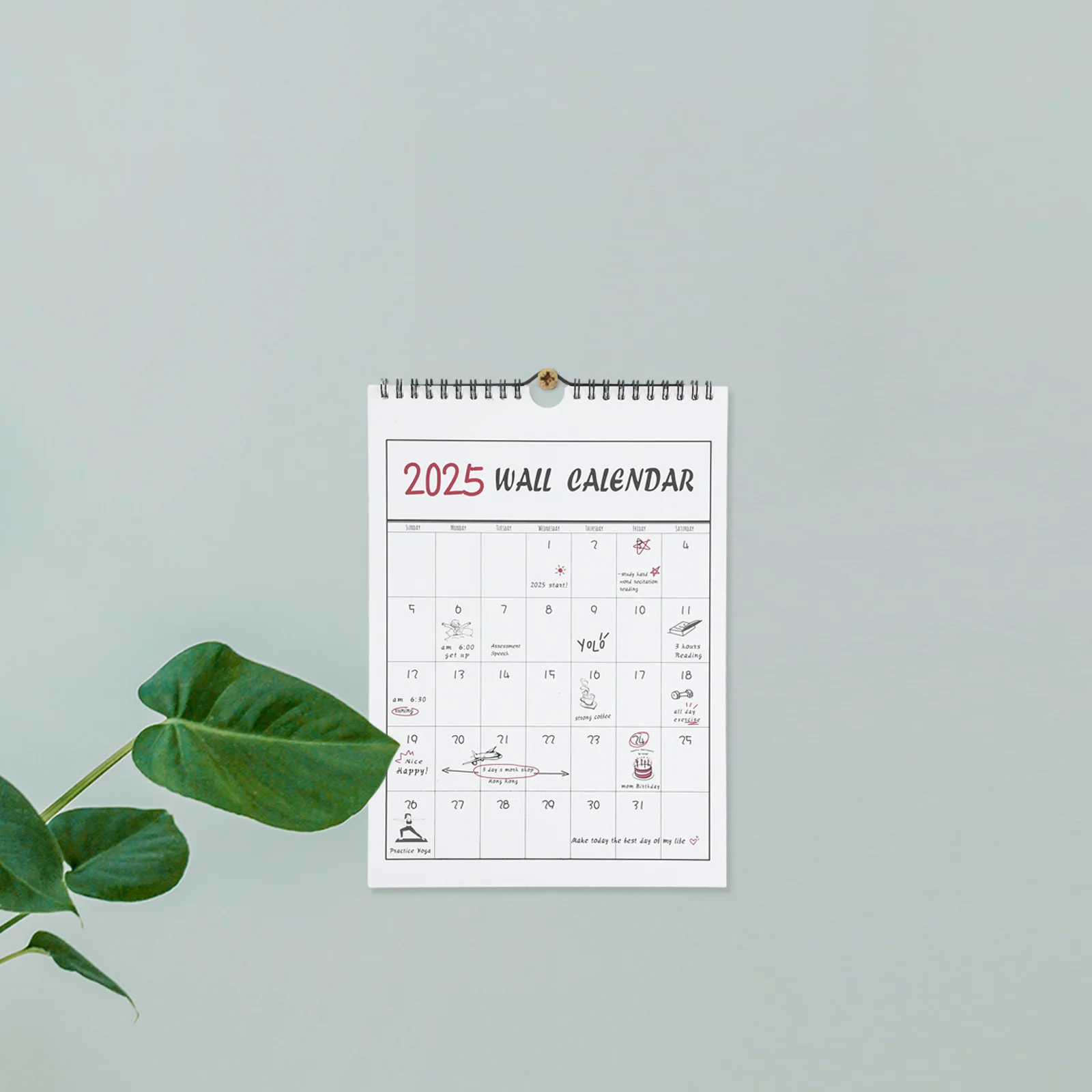 تقويم حائط مطبوع شفاف تصميم إبداعي مخطط شهري تخطيط سنوي صغير معلق ديكور مكتب 2024.9-2025.12