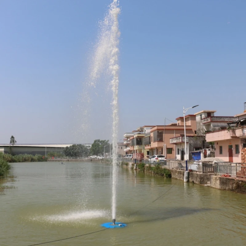 Custom Outdoor Floating Fountain Stainless Steel Outdoor Water Feature For Pool Garden Hotel