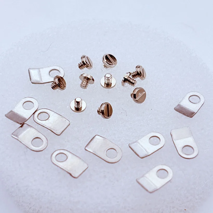 Accesorios para reloj, placa de fijación, tornillo de fijación, juego de 10 con movimiento 2836 2824 2834 2846
