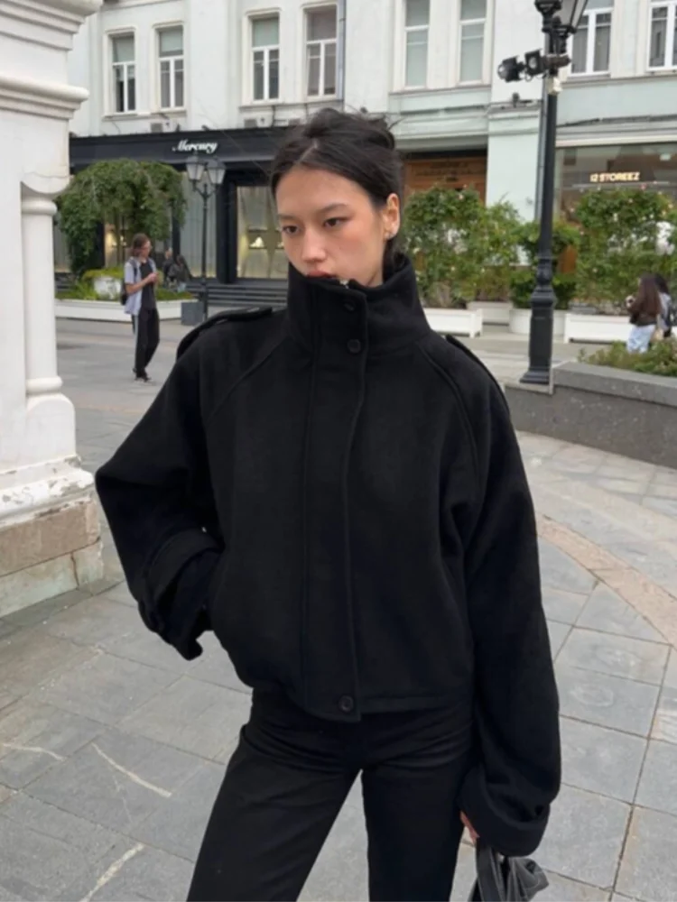 Fashion Fur Women's Jacket 2025 Autumn Winter Turn-down Collar Full Sleeve Single Breasted Female Coat Casual Lady Loose Outwear