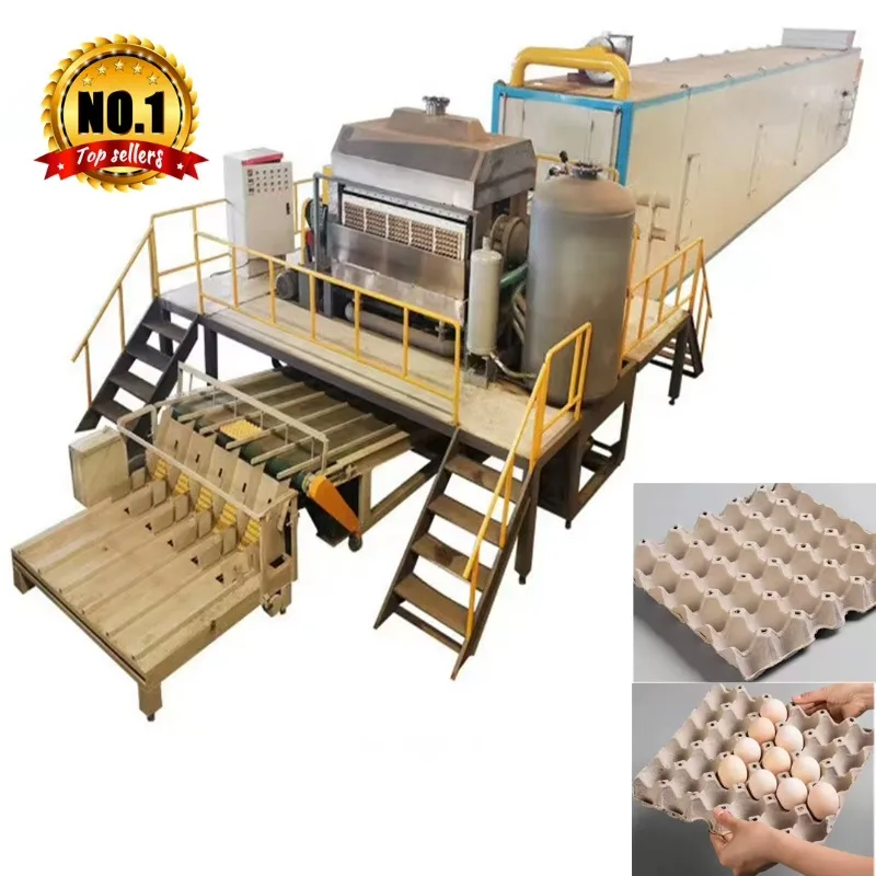 Paper Pulp Molding Equipment Egg Tray Production Line Multi Purpose Manufacturing For Fruit Tray And Egg Carton Processing