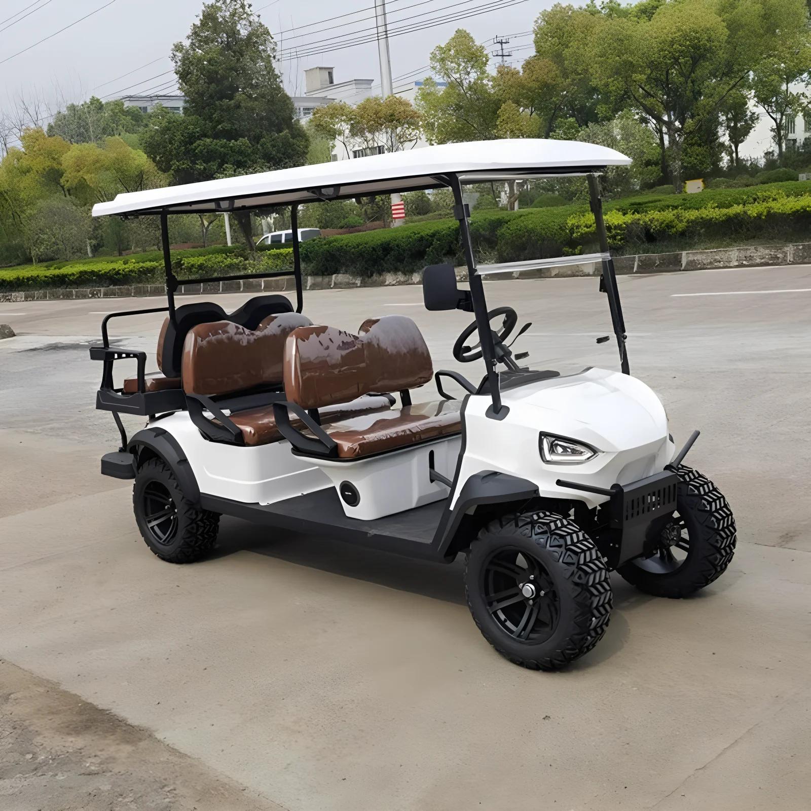 High performance newly designed beach club car EEC certified sightseeing Buggy 8-seater 4-seater electric golf cart