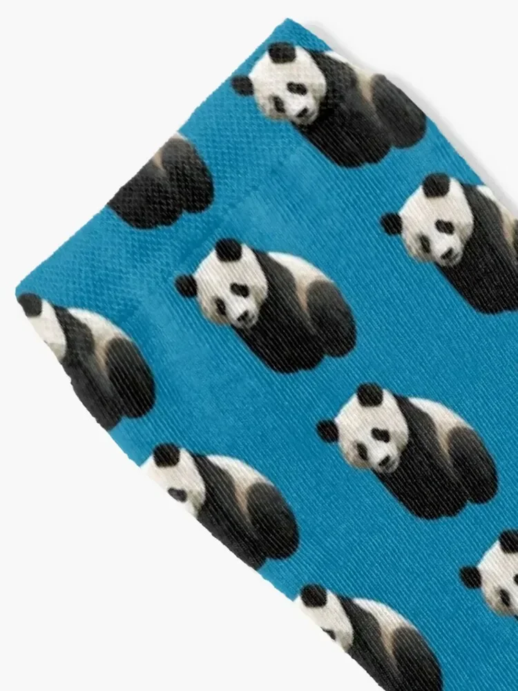 Cerulean Blue - Realistic Giant Panda Illustration Socks Wholesale cycling halloween fashionable Men's Socks Women's