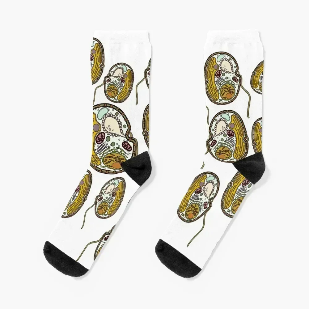 

Dinoflagellate Print Socks designer ankle anime winter Designer Man Socks Women's hockey happy with print Socks For Girls Men's