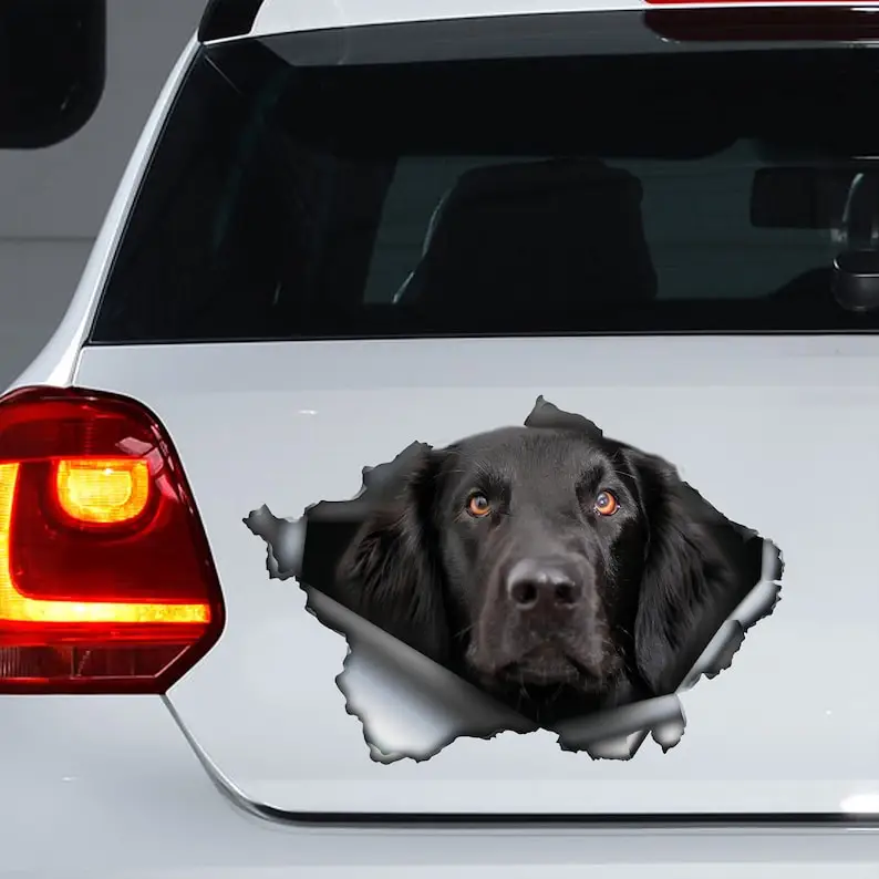 Flat-Coated Retriever decal , flat coat dog sticker, flattie magnet, black flattie decal