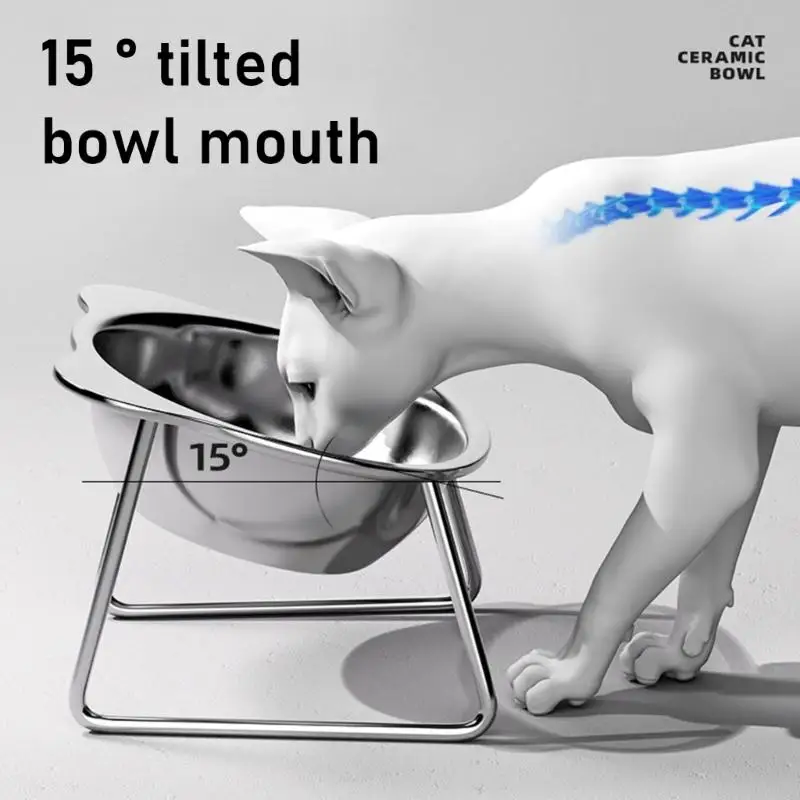 

581D Elevated Cats Bowl Raised Water Dish Cats Stainless Steel Cats Bowl