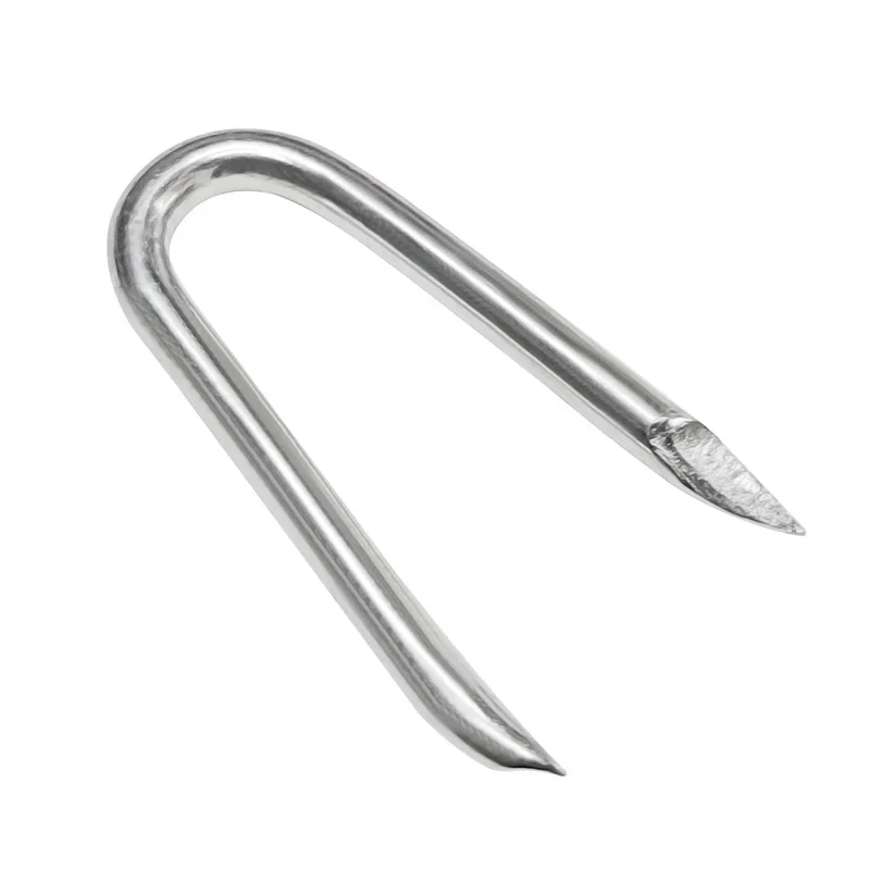 

High Quality Galvanized U Type Nails/ Fence Staples/U Shaped Nails