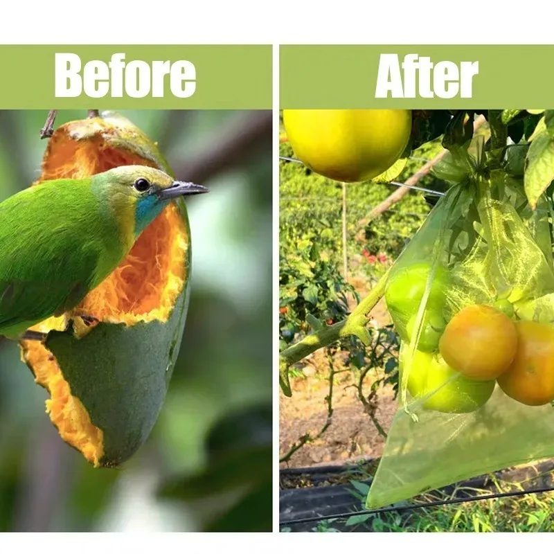 10-100 قطعة أكياس حماية الفاكهة الشبكية الخضراء مع إغلاق الرباط المزدوج قابلة لإعادة الاستخدام لأشجار الحديقة والخضروات والعنب كيس شاش