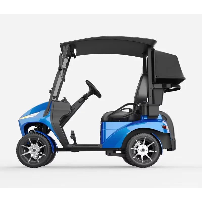 48V Lithium Battery 30KM Range Electric Golf Buggy Heavy-Duty Single-Seat Golf Cart LXM