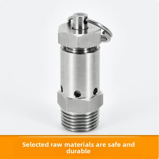 304 Stainless Steel Safety Valve Adjustable Pressure Relief Spring Valve for Air Compressor Steam