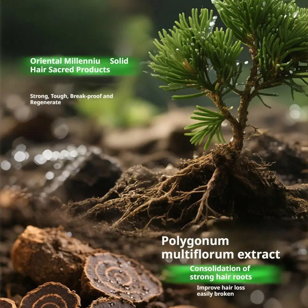 قالب شامبو عشبة أوسما الطبيعي بوليغونوم متعدد الأزهار لنمو الشعر، سماكة سواد وتغذي فروة الرأس ومكافحة تساقط الشعر
