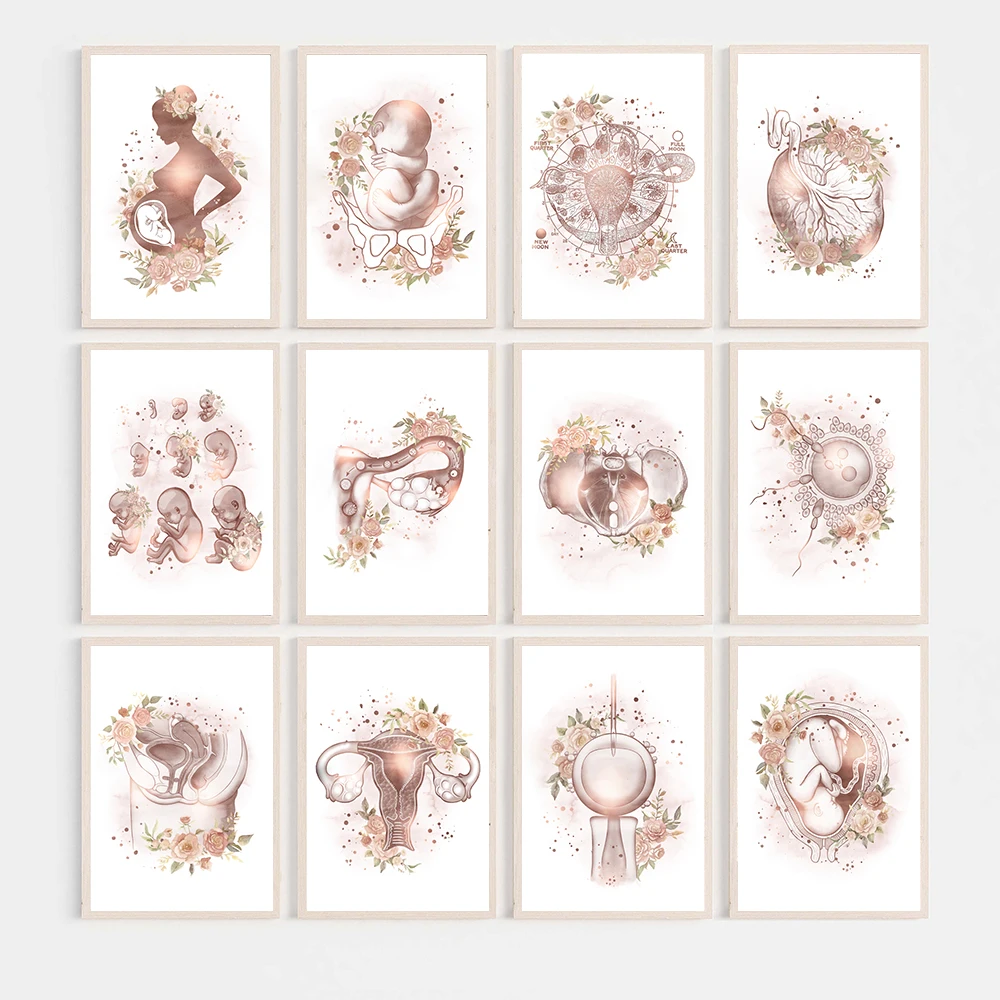 Pregnancy Fetus With Flowers Art Prints Medical Education Posters Female Uterus Pelvis Skeleton Canvas Painting Office Decor