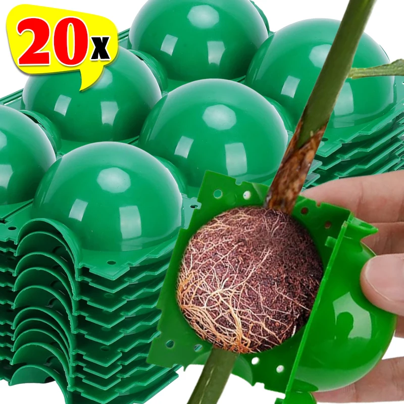 20/5X Plant Rooting…