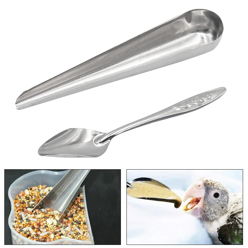 Pet Bird Feeding Food Spoon Stainless Steel Bird Food Spoon, Parrot Feeder Seed Container for Bird Peony Feeding Supplies