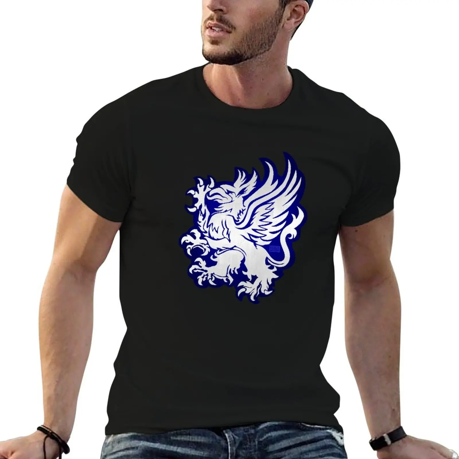 Dragon Age: Grey Warden Honor T-Shirt oversizeds Aesthetic clothing vintage basketball graphic tees oversized t shirt men